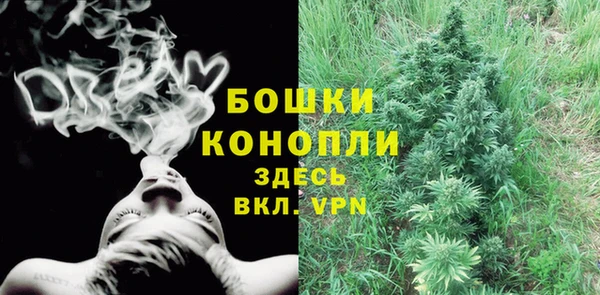 сатива Баксан