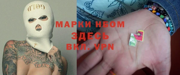 сатива Баксан
