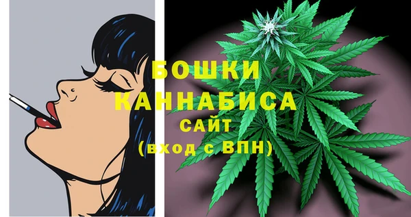 сатива Баксан